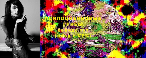 кокс Алексин