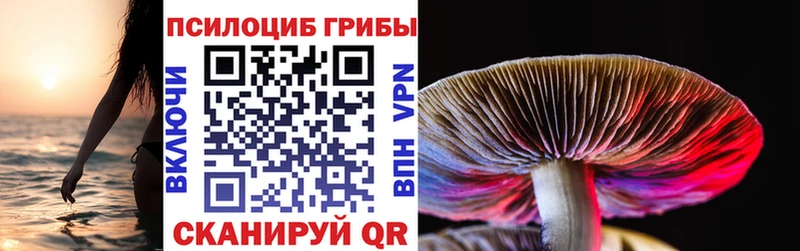 купить наркоту сайты даркнета наркотические препараты Псилоцибиновые грибы Cubensis Назрань мега маркетплейс